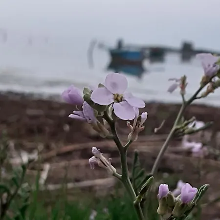 In Laguna ...tra Sacro E Profano بيت للعطل Marceddi