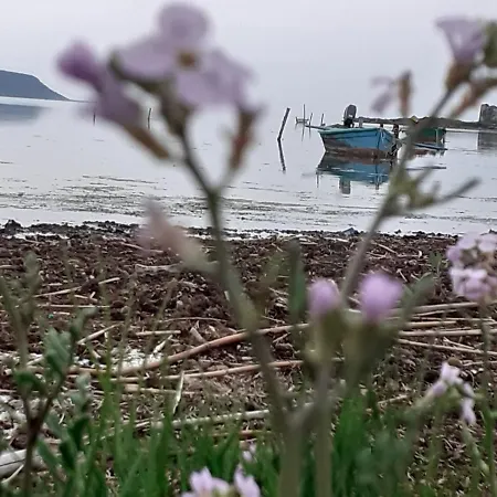 بيت للعطل In Laguna ...tra Sacro E Profano