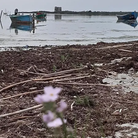 بيت للعطل In Laguna ...tra Sacro E Profano Marceddi