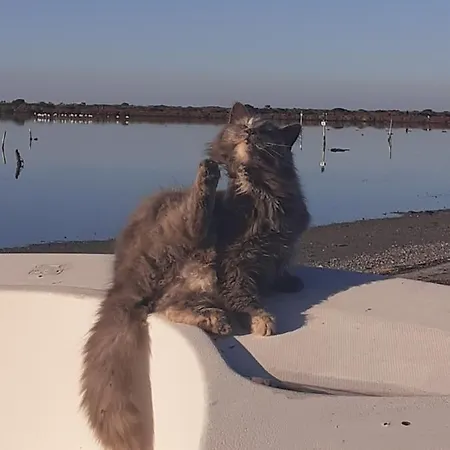 بيت للعطل In Laguna ...tra Sacro E Profano Marceddi