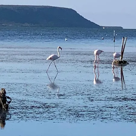 In Laguna ...tra Sacro E Profano Marceddi