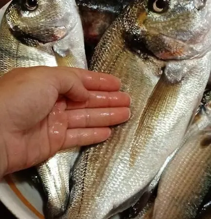 In Laguna ...tra Sacro E Profano Marceddi