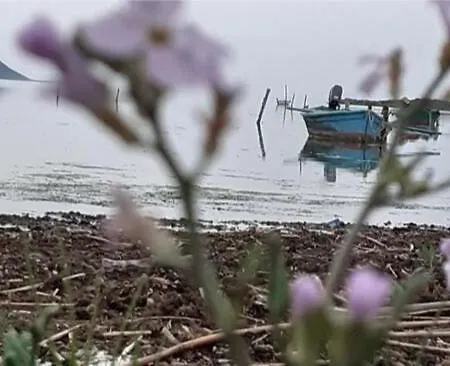 Semesterbostad In Laguna ...tra Sacro E Profano