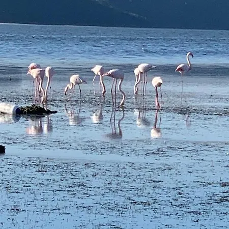 בית נופש In Laguna ...tra Sacro E Profano Marceddi