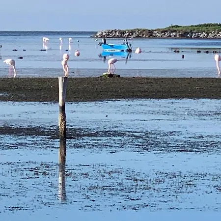 Semesterbostad In Laguna ...tra Sacro E Profano