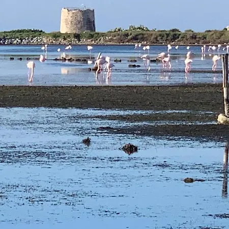 In Laguna ...tra Sacro E Profano Marceddi